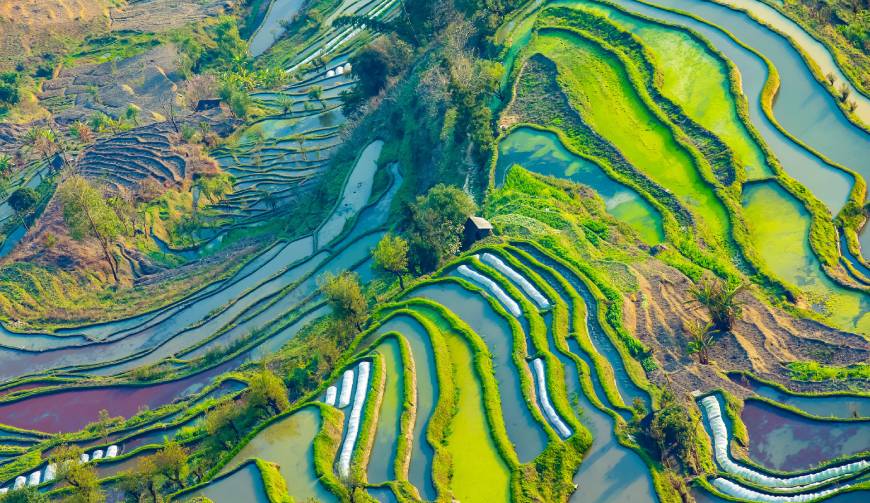 宝妈必备神器：麦积区产品视频拍摄轻松育儿好帮手