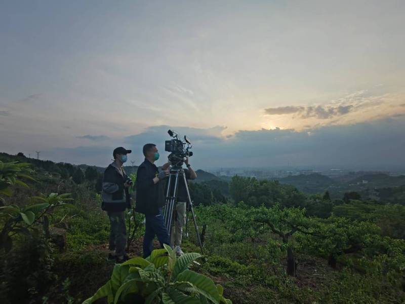 创意破圈！麦积区电商产品宣传视频用故事化叙事引爆流量